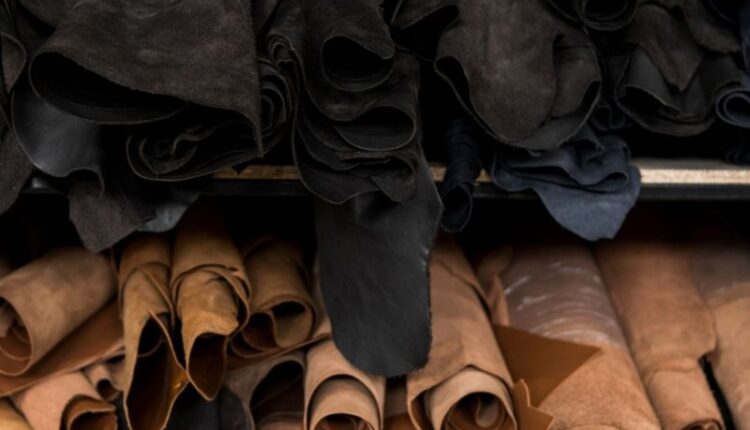 Da lì là gì? Đặc điểm, ứng dụng trong đời sống và cách bảo quản da lì